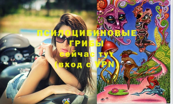 mix Бородино