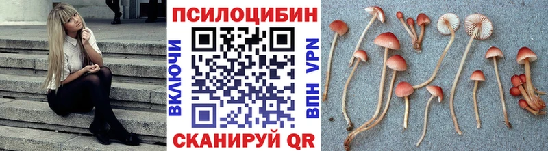 закладки  Киржач  Галлюциногенные грибы ЛСД 