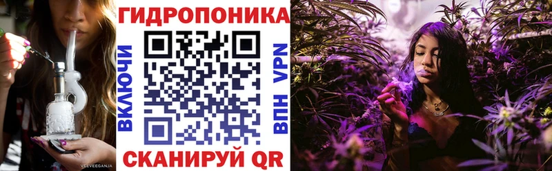 Каннабис сатива  закладки  Киржач 